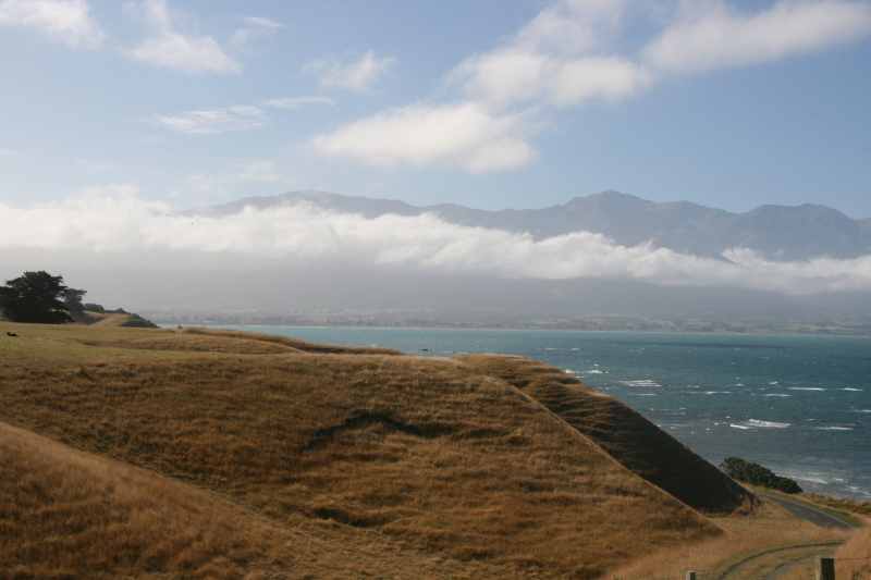 Nieuw-Zeeland 2011 - 1178
